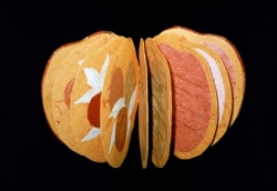 Jone Small Manoogian The Mango Book Jone Small Manoogian The Mango Book