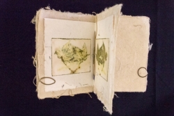 The Silent Story Leaves - Jamila Rufaro
