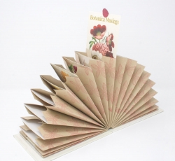Botanica Musings - Lorraine Crowder Botanica Musings - Lorraine Crowder