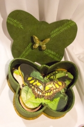 Niagra Butterflies - Lorraine Crowder Niagra Butterflies - Lorraine Crowder