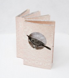 Birdie Shadowbox Book - Kit Davey