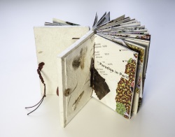 LCC-Bird-Book-1