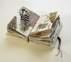 LCC-Bird-Book-2