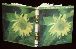 sunflower2