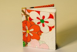 Bernadette-Castor-Kimono-Stab-binding