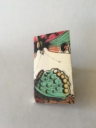 Jamila-Rufaro-Butterfly-2