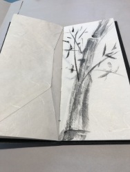 Bernadette Castor  - Bamboo Book Inside
