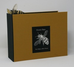 Bernadette Castor - HoneyBee 2016