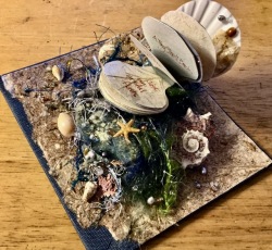 Miniature Shell Book