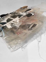 AstridJSmith_BABAcollab_20200930_0003