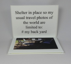 Col-lab-Marilyn-Howard-my-back-yard-1-of-2