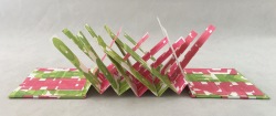Collab.-Kit-Davey-Flag-Book-1