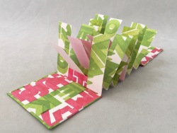 Collab.-Kit-Davey-Flag-Book-2