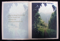 Jone Small Manoogian - Bamboo Journey through a Rainforest