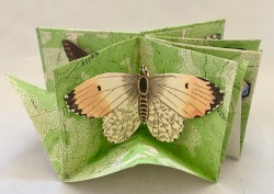 Kit Davey - Butterfly Box-fold Book