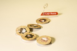 Elizabeth-Medrano-Round-Book