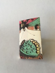 Jamila-Rufaro-Butterfly-2