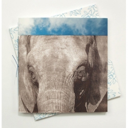 Nanette Wylde - Remembering Elephants